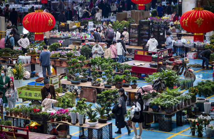 นักท่องเที่ยวซื้อดอกไม้ที่ตลาดดอกไม้โต่วหนาน เมืองคุนหมิงเมื่อวันที่ 31 มกราคม 2023  ราคาดอกไม้สูงขึ้นเนื่องจากความต้องการที่เพิ่มขึ้นในช่วงเทศกาลต่างๆ   ในช่วงไม่กี่ปีมานี้  ขณะที่ระบบแปรรูปดอกไม้  การค้า และระบบโลจิสติกส์ดีขึ้น  ตลาดได้มีการจัดส่งดอกไม้ประจำปีและยอดขายทะลุ 10,000 ล้านหยวน (1,480 ล้านดอลลาร์)  ตลาดดอกไม้โต่วหนาน ในฐานะตลาดไม้ดอกสดที่ใหญ่ที่สุดในเอเชีย เป็นตัวบ่งชี้ตลาดดอกไม้ทั่วประเทศจีน (ภาพจากซินหัว)