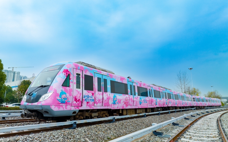 เปิดตัวรถไฟใต้ดินธีมดอกซากุระที่เมืองอู่ฮั่น มณฑลหูเป่ยของจีน