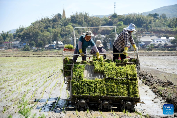 เกษตรกรทั่วจีนเริ่มขะมักเขม้นกับงานเพาะปลูก
