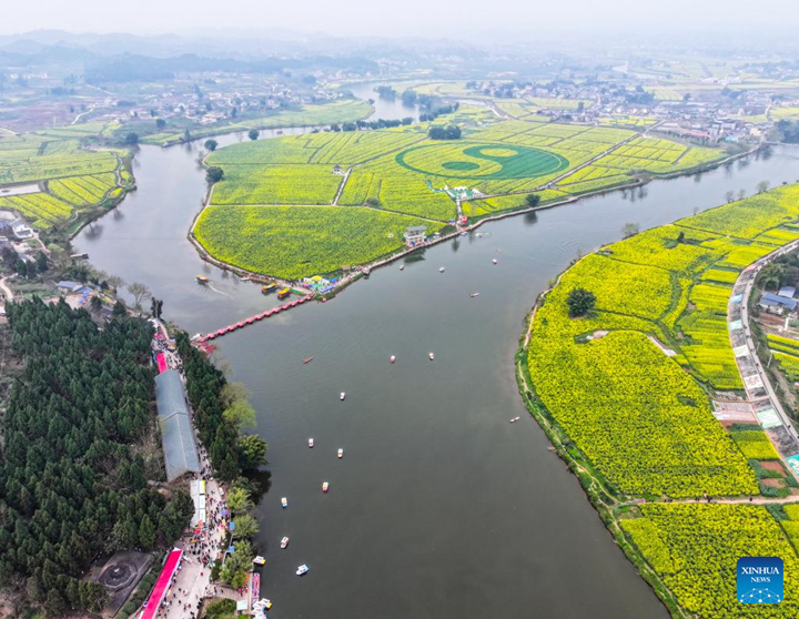 ทุ่งเรพซีดที่จุดชมวิวในเขตถงหนาน นครฉงชิ่ง ทางตะวันตกเฉียงใต้ของจีน ภาพถ่ายทางอากาศเมื่อวันที่ 9 มี.ค. 2567 (ซินหัว)