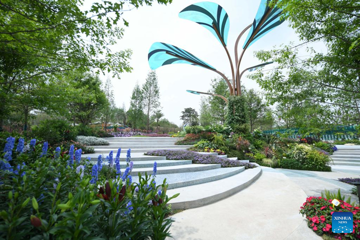 สวนคุนหมิงในงานมหกรรมพืชสวนนานาชาติเฉิงตู ปี 2024 ภาพถ่ายเมื่อวันที่ 26 เมษายน 2567 (ซินหัว)
