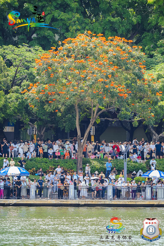 เมืองซานย่าจัดการแข่งขันเรือมังกร