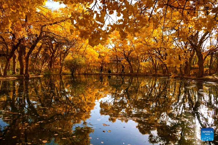 วันฤดูใบไม้ร่วงสีทองดึงดูดผู้คนให้ออกไปสัมผัสบรรยากาศกลางแจ้งทั่วจีน