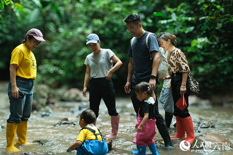 การเดินป่าในป่าฝนช่วยกระตุ้นเศรษฐกิจในมณฑลยูนนาน