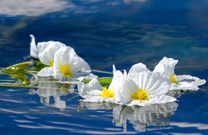 วิวทะเลสาบเอ๋อร์ไห่อันน่าทึ่งในมณฑลยูนนาน ทางตะวันตกเฉียงใต้ของจีน