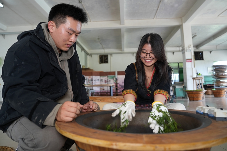 วัฒนธรรมชาออร์แกนิกของไป๋ซา ดึงดูดผู้เชี่ยวชาญชาวต่างชาติ