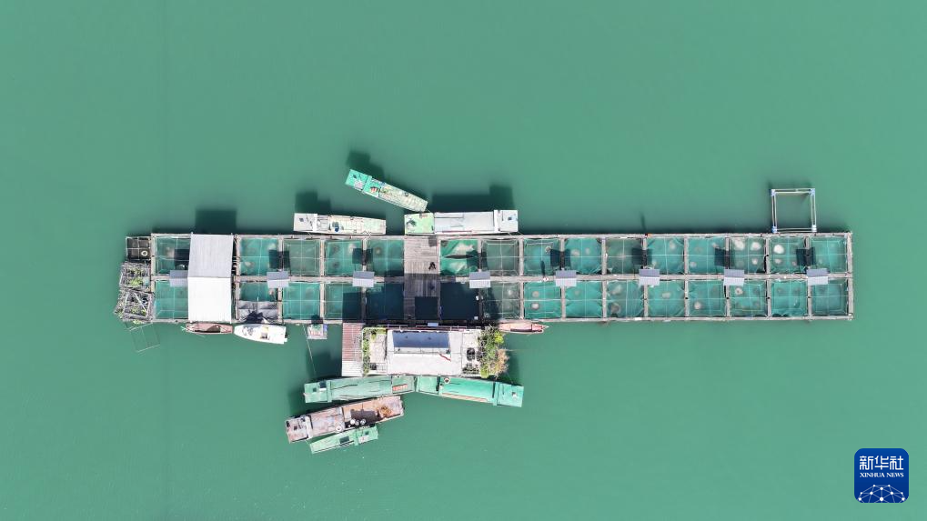 ศูนย์วิจัยประมงฉงชิ่ง อนุรักษ์สายพันธุ์ปลาหายาก