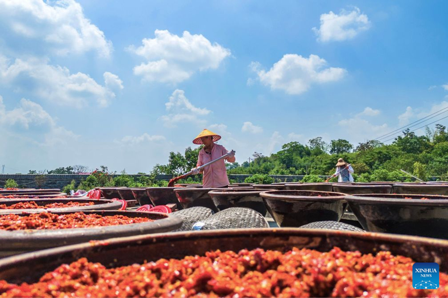 ชาวหย่งเฟิงเตรียมซอสพริก สืบสานรสชาติท้องถิ่นแห่งหูหนาน